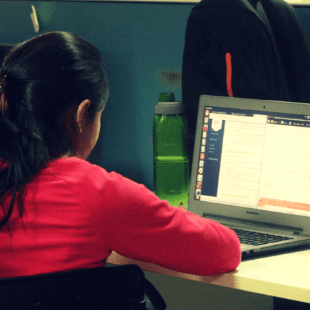Self Paced Learning